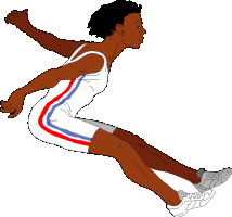 Long jump sport graphics