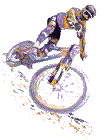 Mountain biking sport graphics