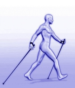 Nordic walking sport graphics