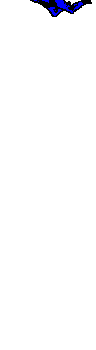 Paragliding sport graphics