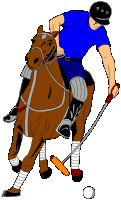 Polo sport graphics