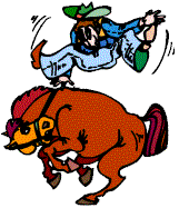 Rodeo sport graphics