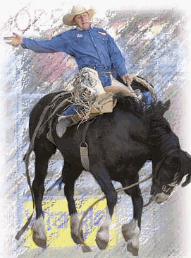 Rodeo sport graphics