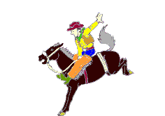 Rodeo sport graphics