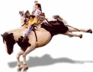 Rodeo sport graphics
