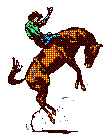 Rodeo sport graphics