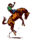 Rodeo