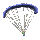 Skydiving sport graphics