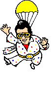 Skydiving sport graphics