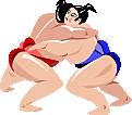 Sumo wrestling sport graphics