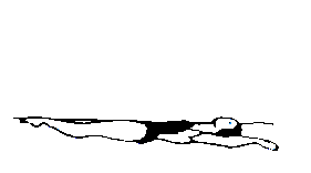 Synchronized swimming sport graphics