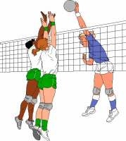 Volleyball