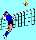 Volleyball sport graphics