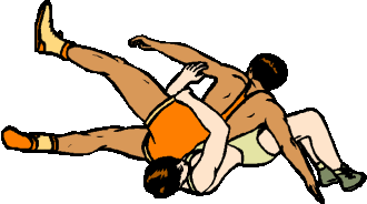 Wrestling sport graphics