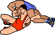 Wrestling sport graphics