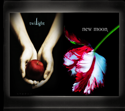 Twilight new moon twilight graphics