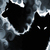 shadowpup