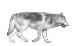 Smpeeden