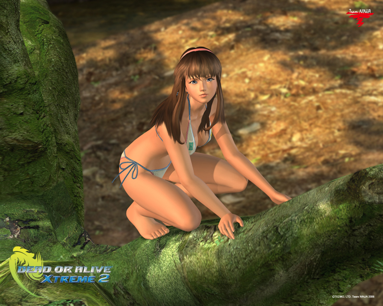 Dead or alive xtreme wallpapers