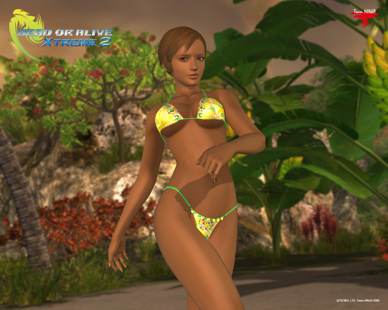 Dead or alive xtreme wallpapers