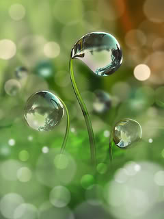 Landscapes and nature wallpapers