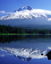 Landscapes and nature wallpapers