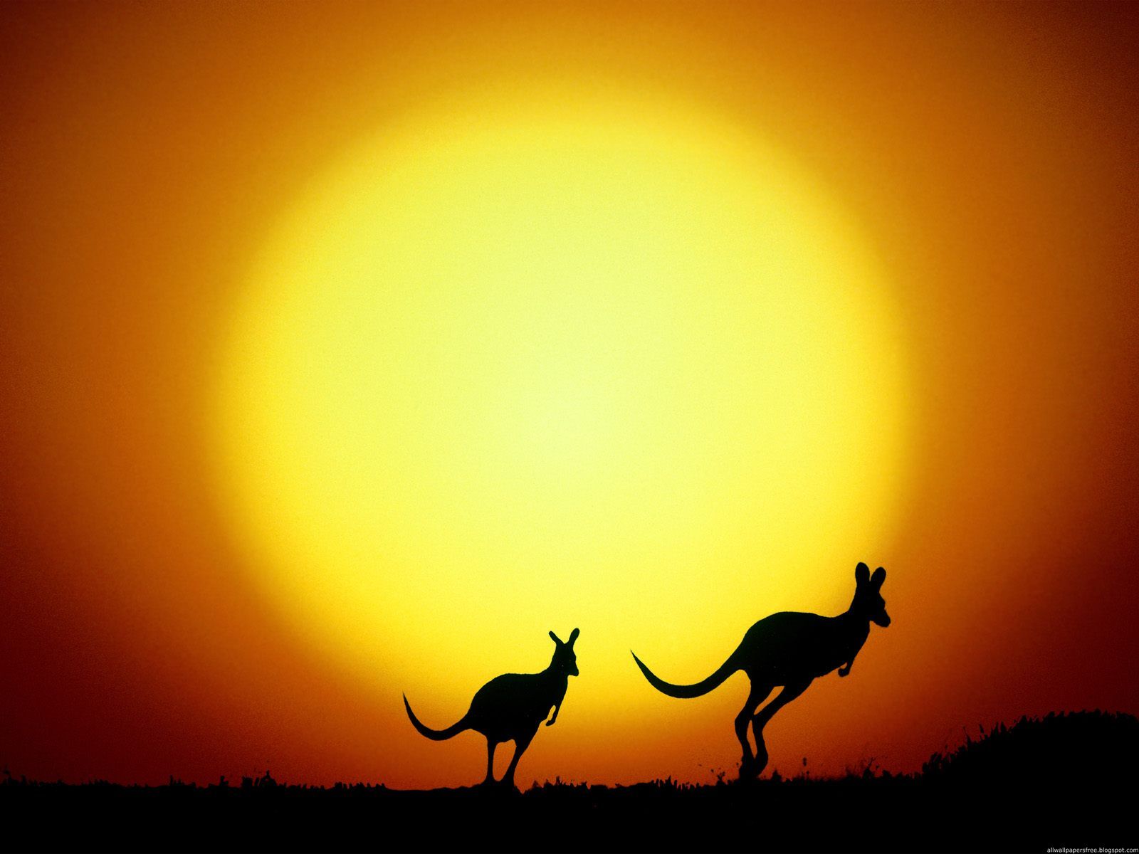 Australia wallpapers