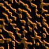 Brown wallpapers