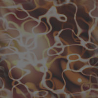 Brown wallpapers