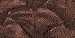 Brown wallpapers