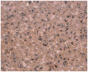 Brown wallpapers