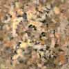 Brown wallpapers