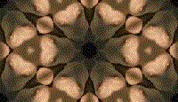 Brown wallpapers