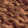 Brown wallpapers