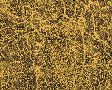 Brown wallpapers