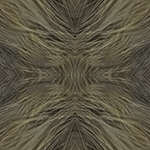 Brown wallpapers