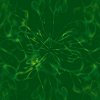 Green wallpapers