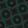 Green wallpapers