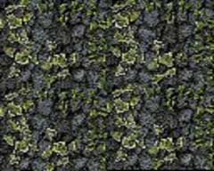 Green wallpapers