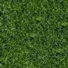 Green wallpapers