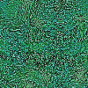 Green wallpapers
