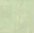 Green wallpapers
