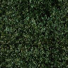 Green wallpapers