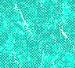 Green wallpapers