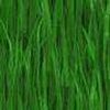 Green wallpapers