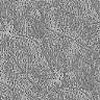 Grey wallpapers