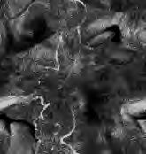 Grey wallpapers