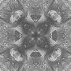 Grey wallpapers