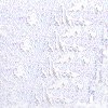 Grey wallpapers