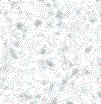 Grey wallpapers